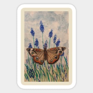 Buckeye butterfly in the grape hyacinth flowers Sticker